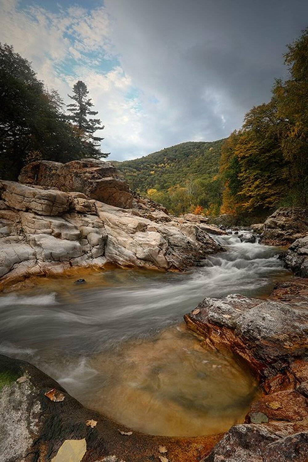 , Андрей Ершов
