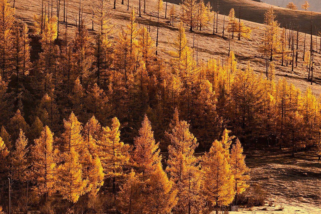 южный, урал, долгие горы, орск, новотроицк башкирия талкас, Качурин Алексей