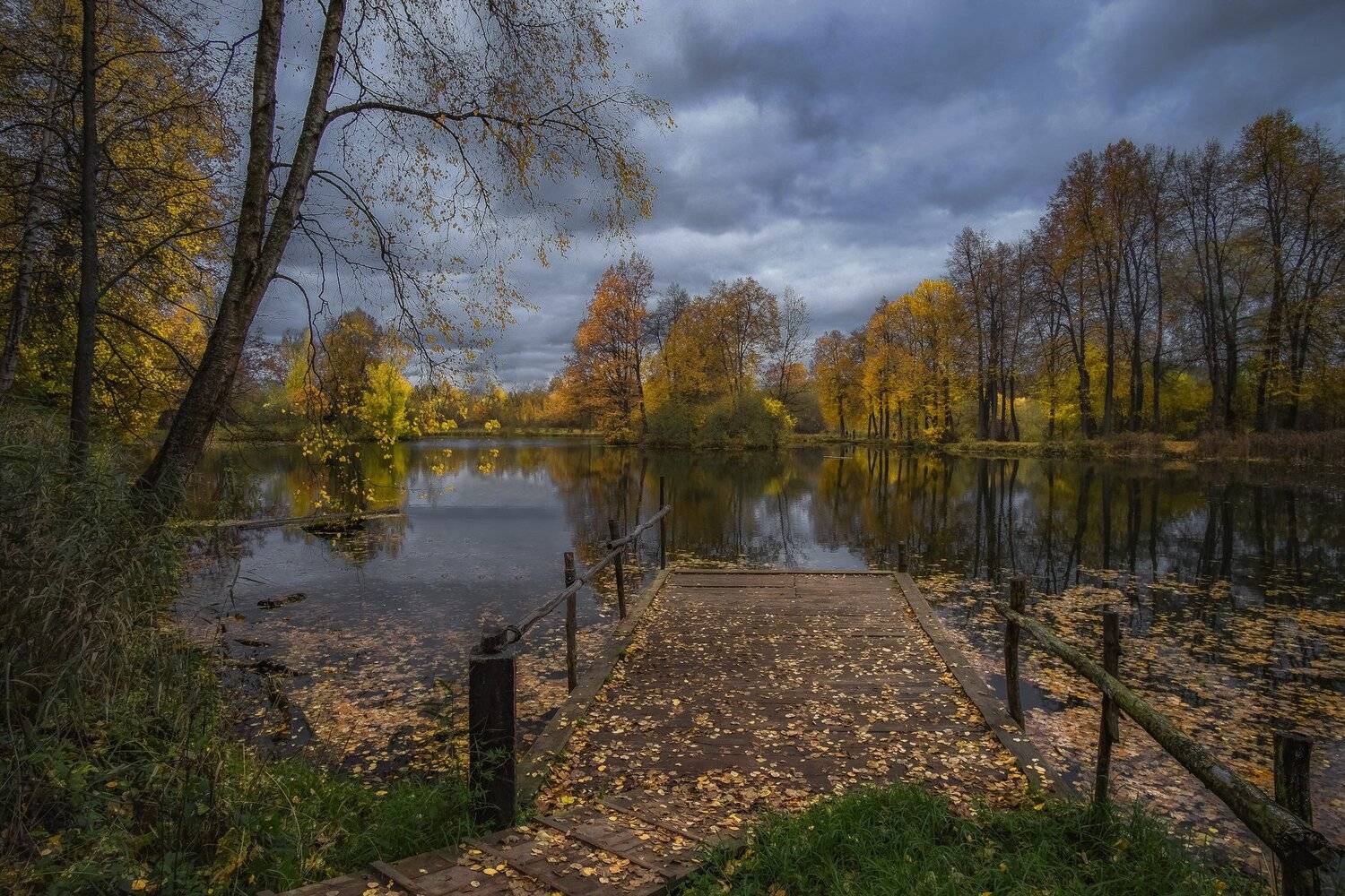 , Екатерина