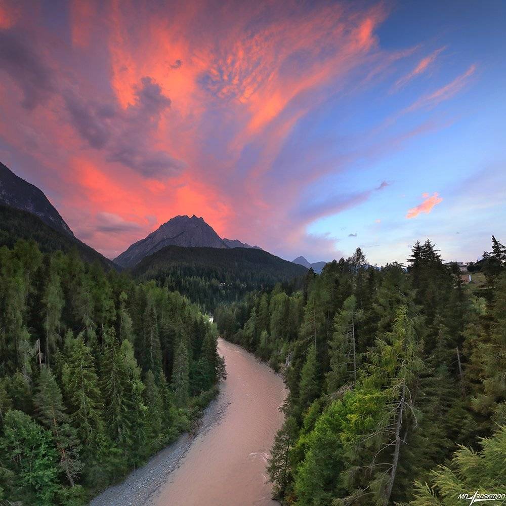 swiss, Матвеев Николай