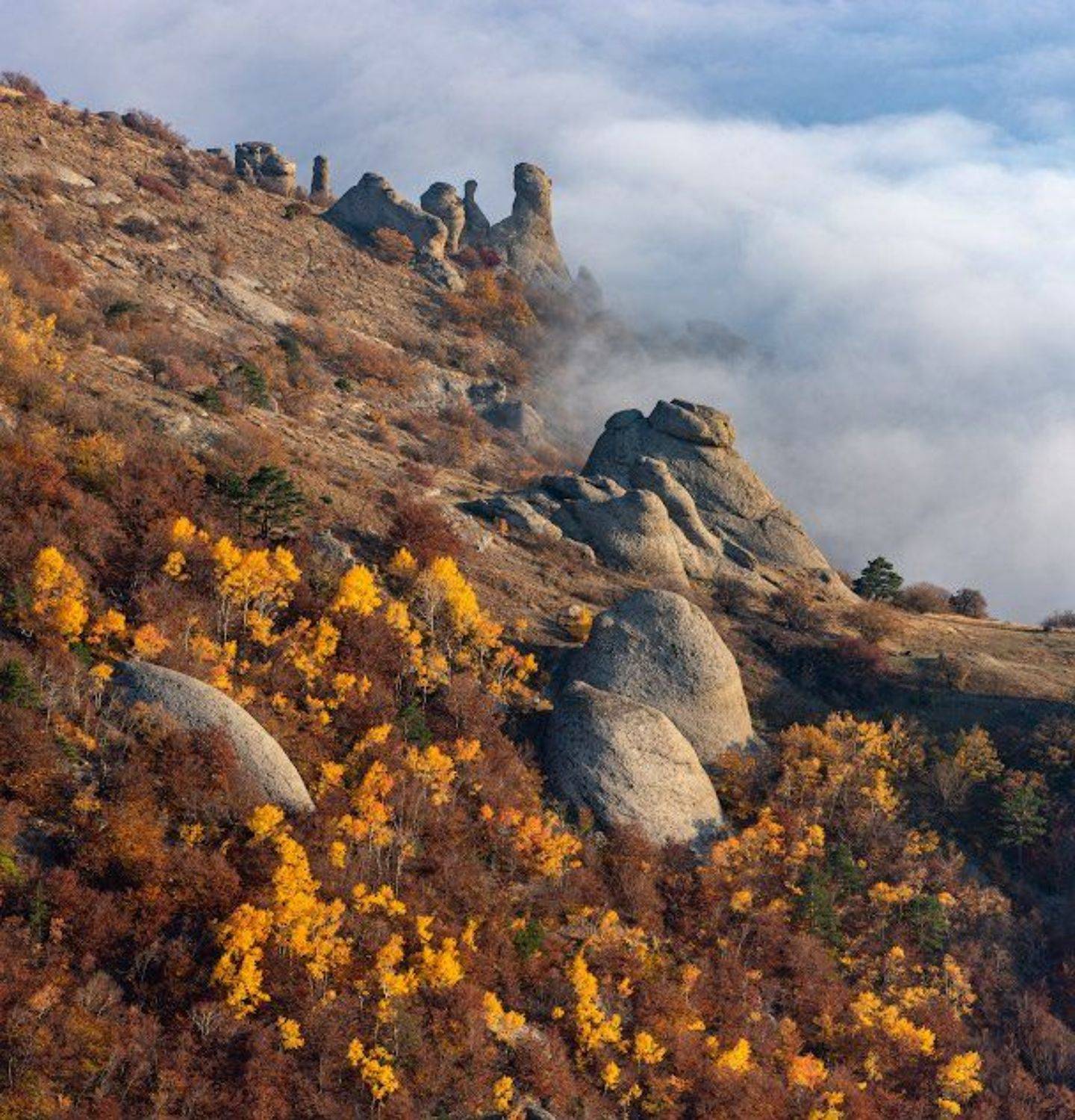 , Андрей Гусаченко