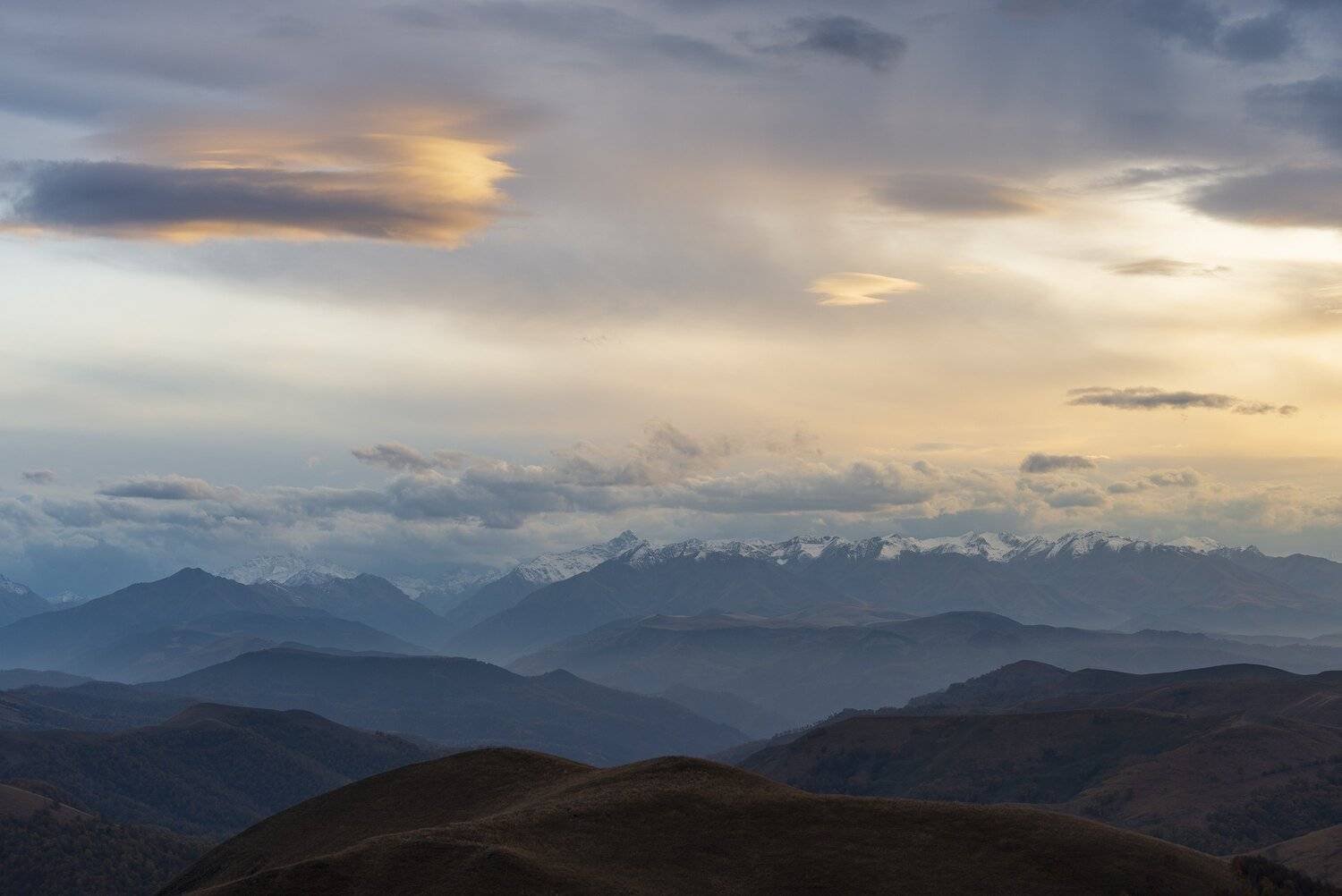 , Дмитрий Новоселов