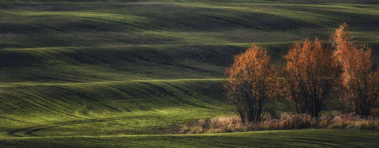 , Анатолий Зверев