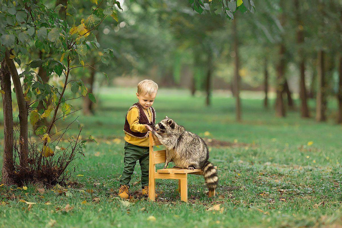 фотограф, зеркальный фотоаппарат canon mark iii, фотопрогулка, мальчик, енот, закат, ребенок, детская фотосессия, детский фотограф, малыш, счастье, радость, дети на фото, семейная фотография, любовь, фотосессии с животными, восторг, Францева Ольга