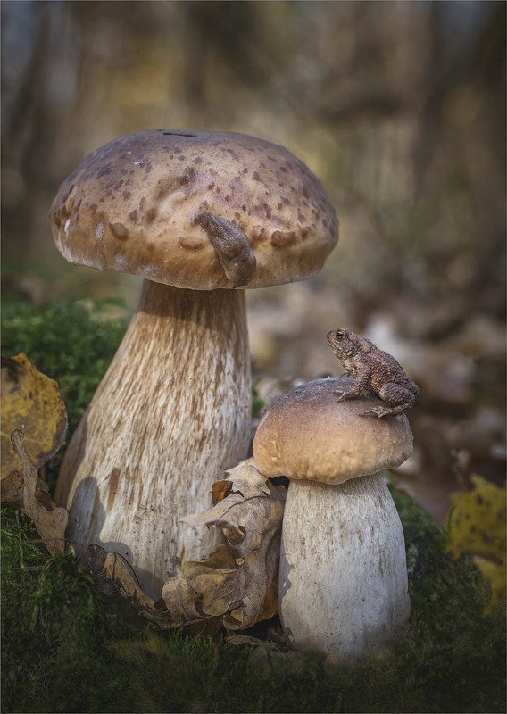 Парочка фото превью