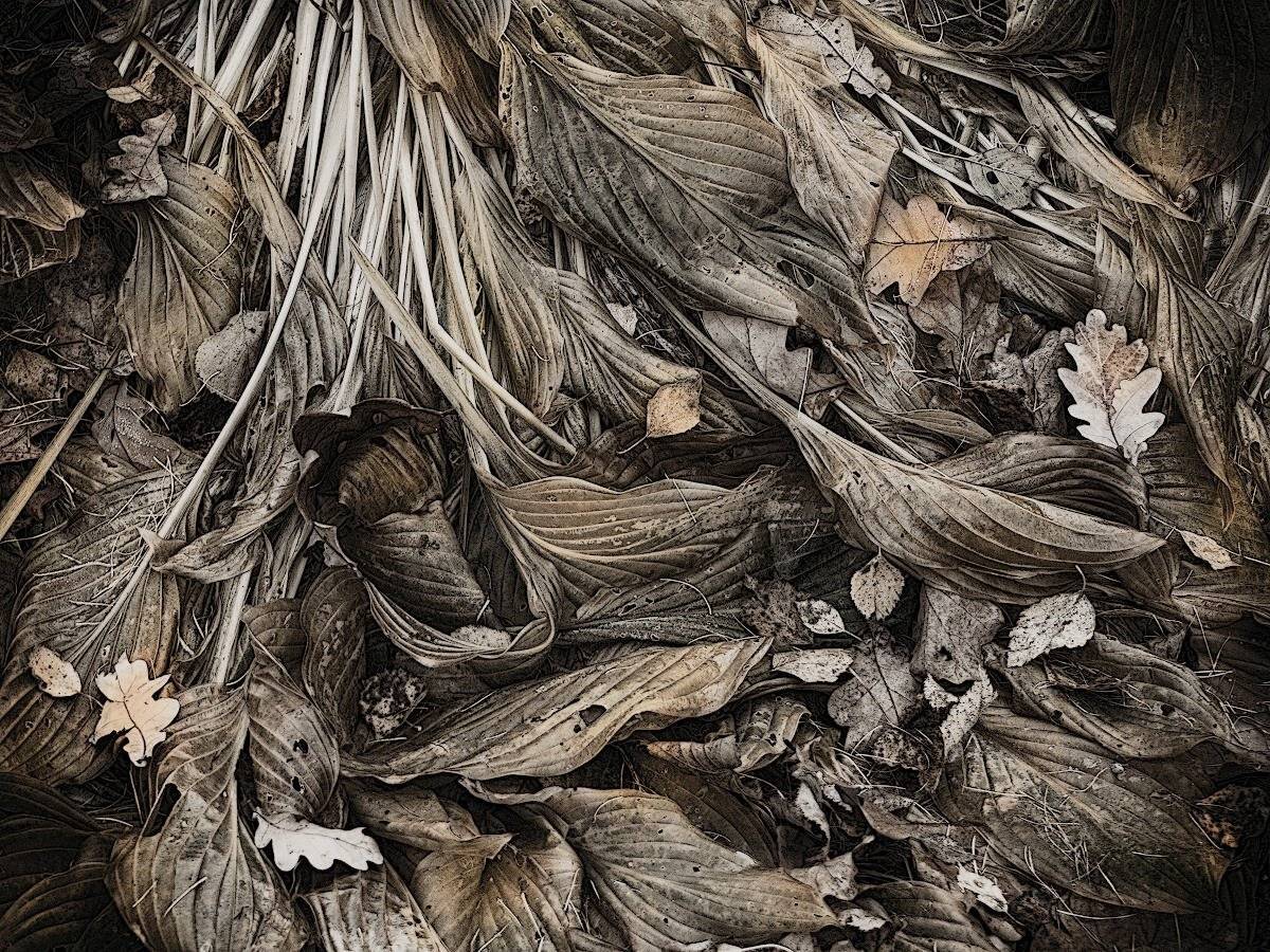 , Штабнов Юрий