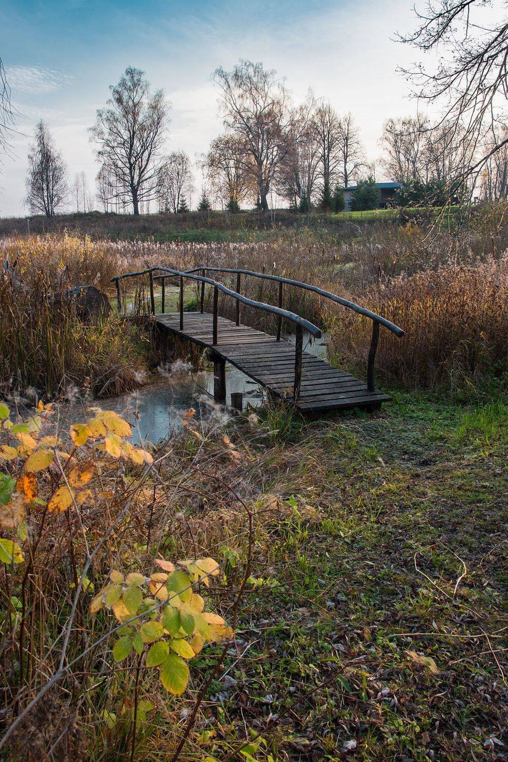 , Александр