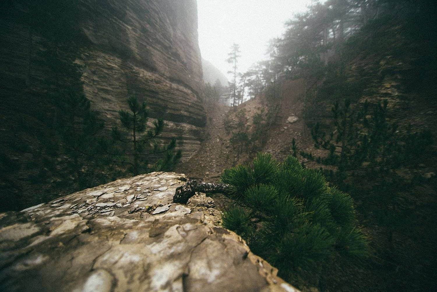 крым, Юрий Коваленко