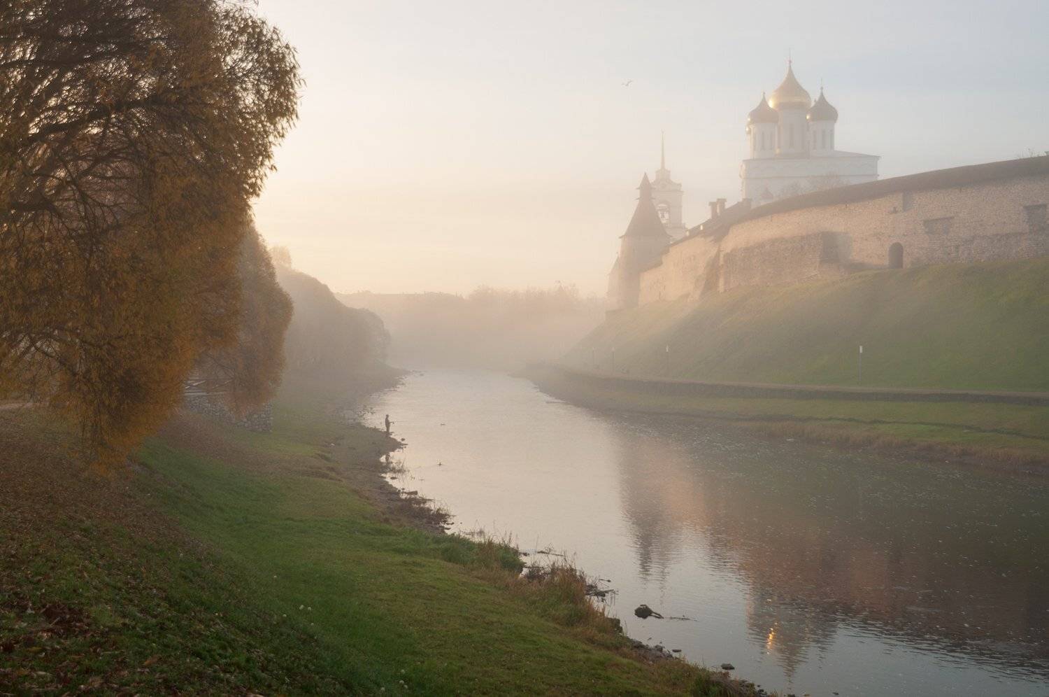 псков, Roman Dmitriev