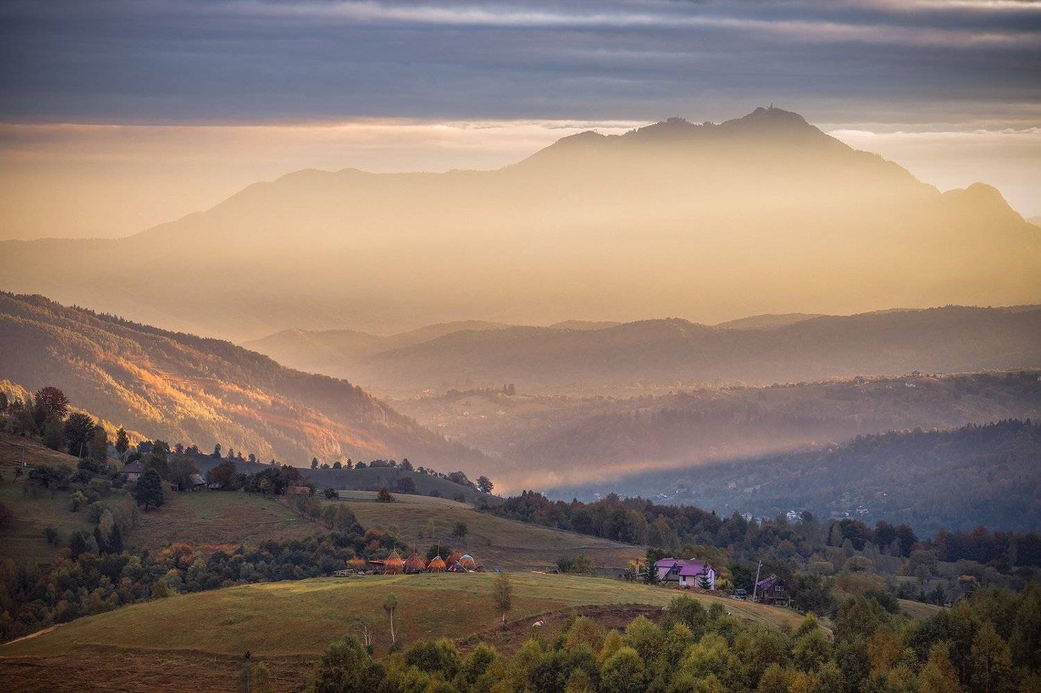 , Елена Маковоз