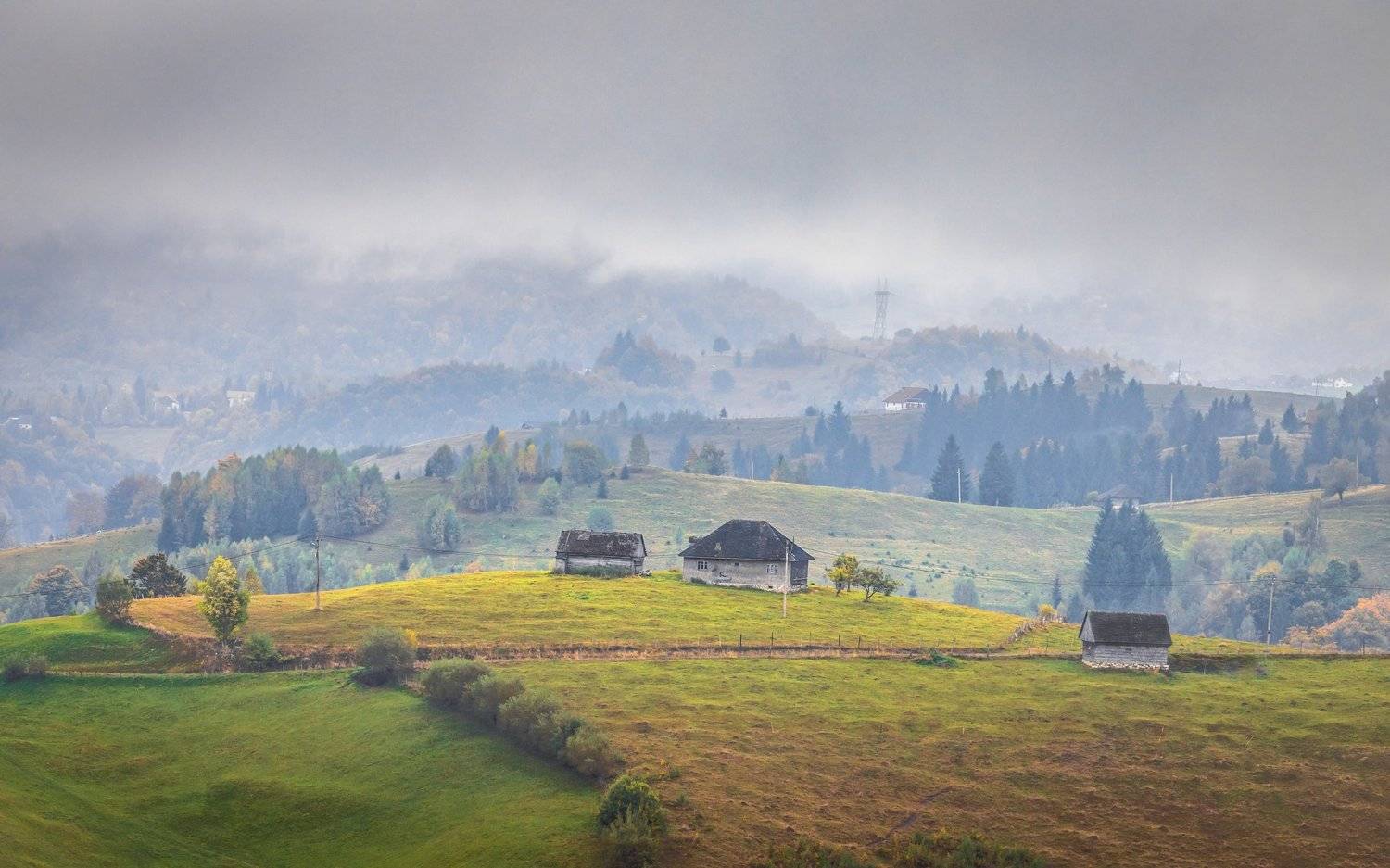 , Елена Маковоз