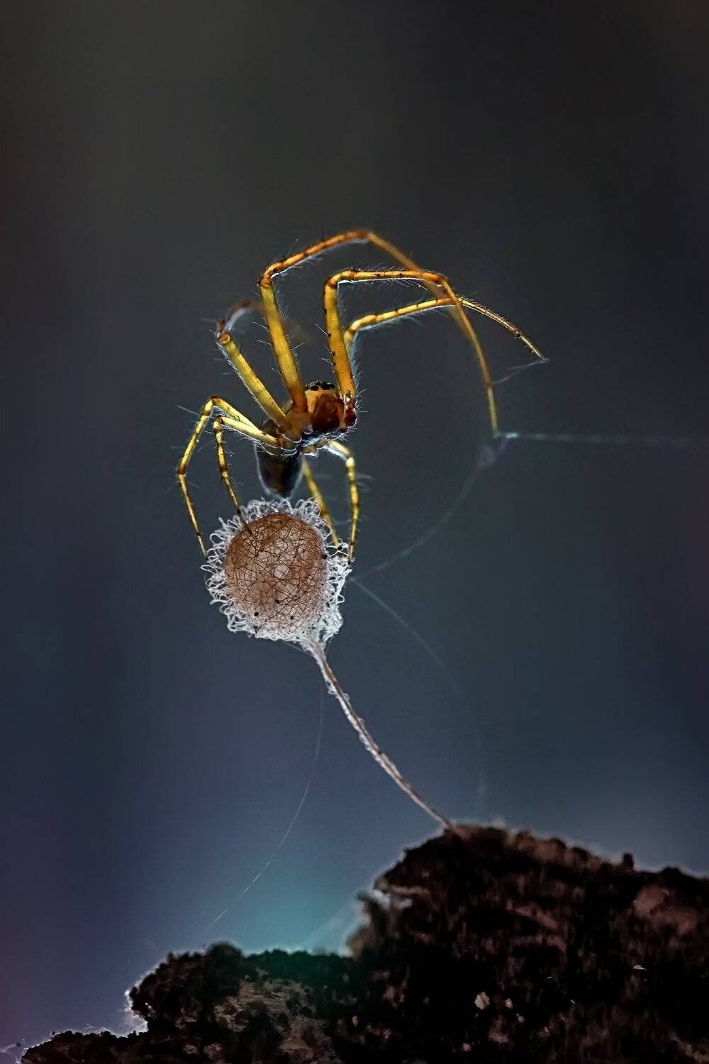 , Галина Горькавая