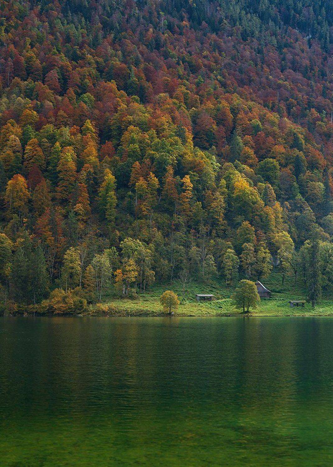 , Казанцев Алексей