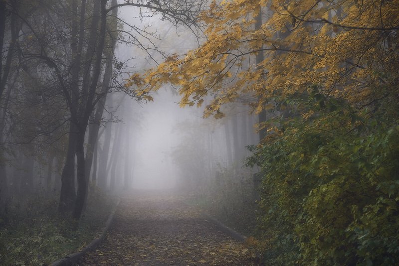 В осеннем парке... фото превью