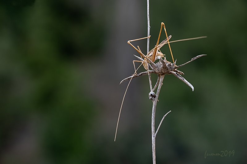 И ВНОВЬ УРОКИ КОМПОЗИЦИИ фото превью