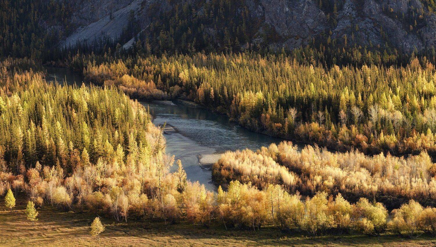 чуя. алтай.вечер, Марина Фомина