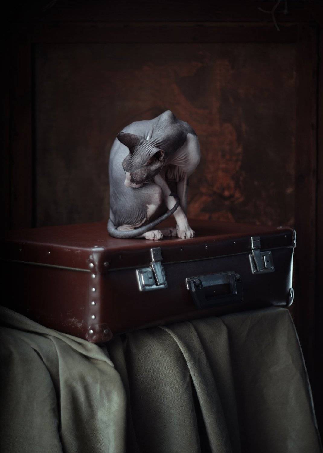 , Игорь Крюков