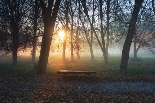 Утро в осеннем парке