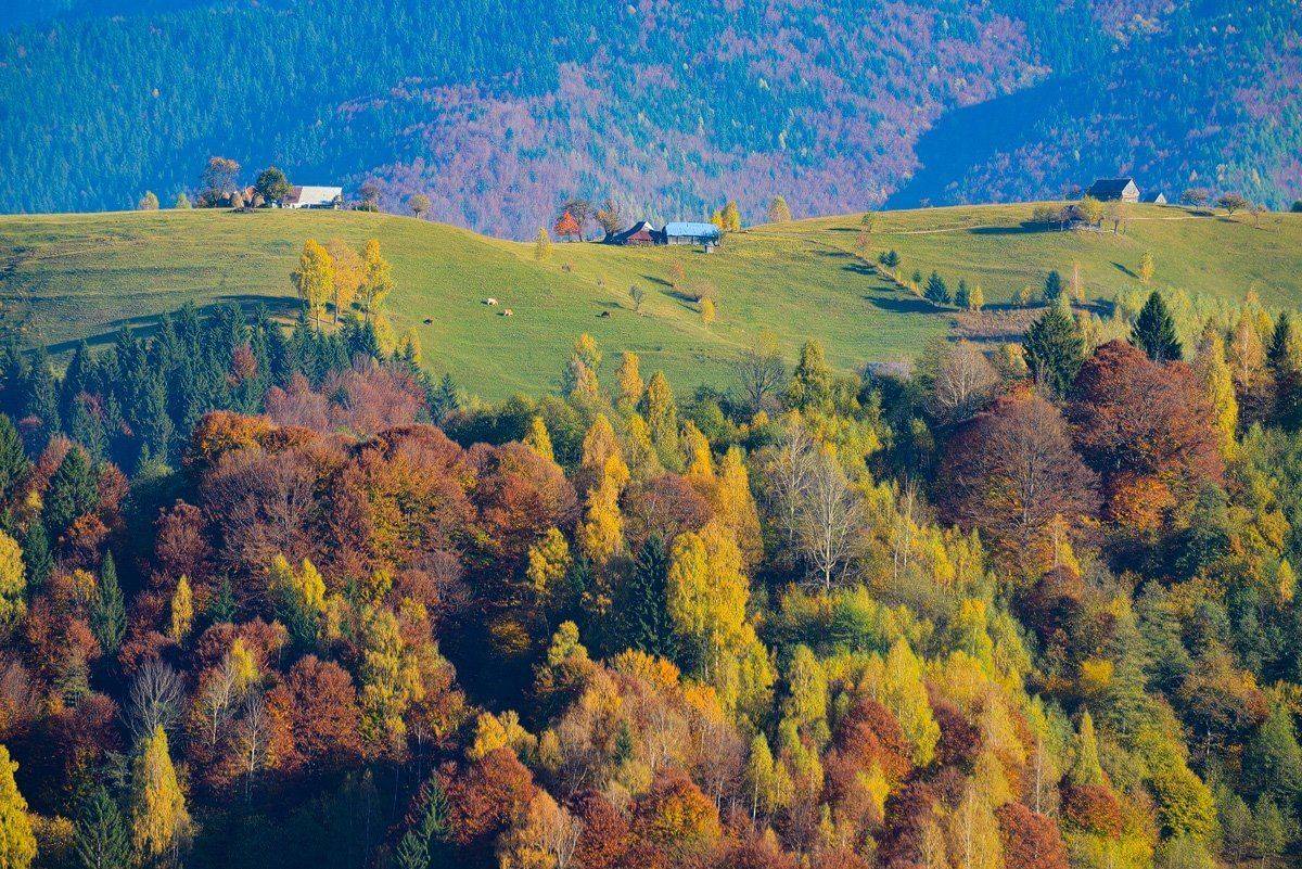 , Stefan Chirobocea