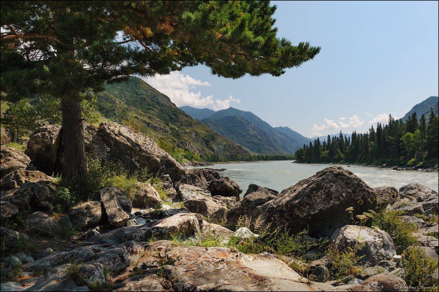 , Андрей Шумилин