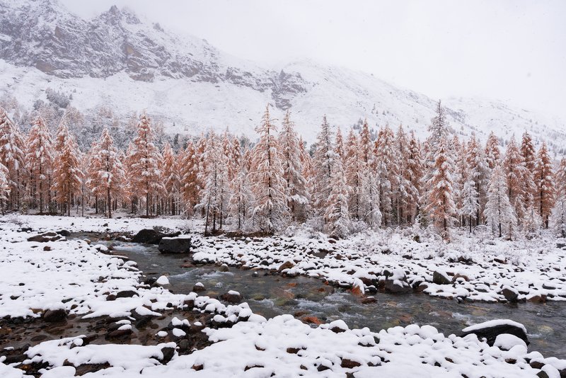 алтай. актру Алтай фото превью