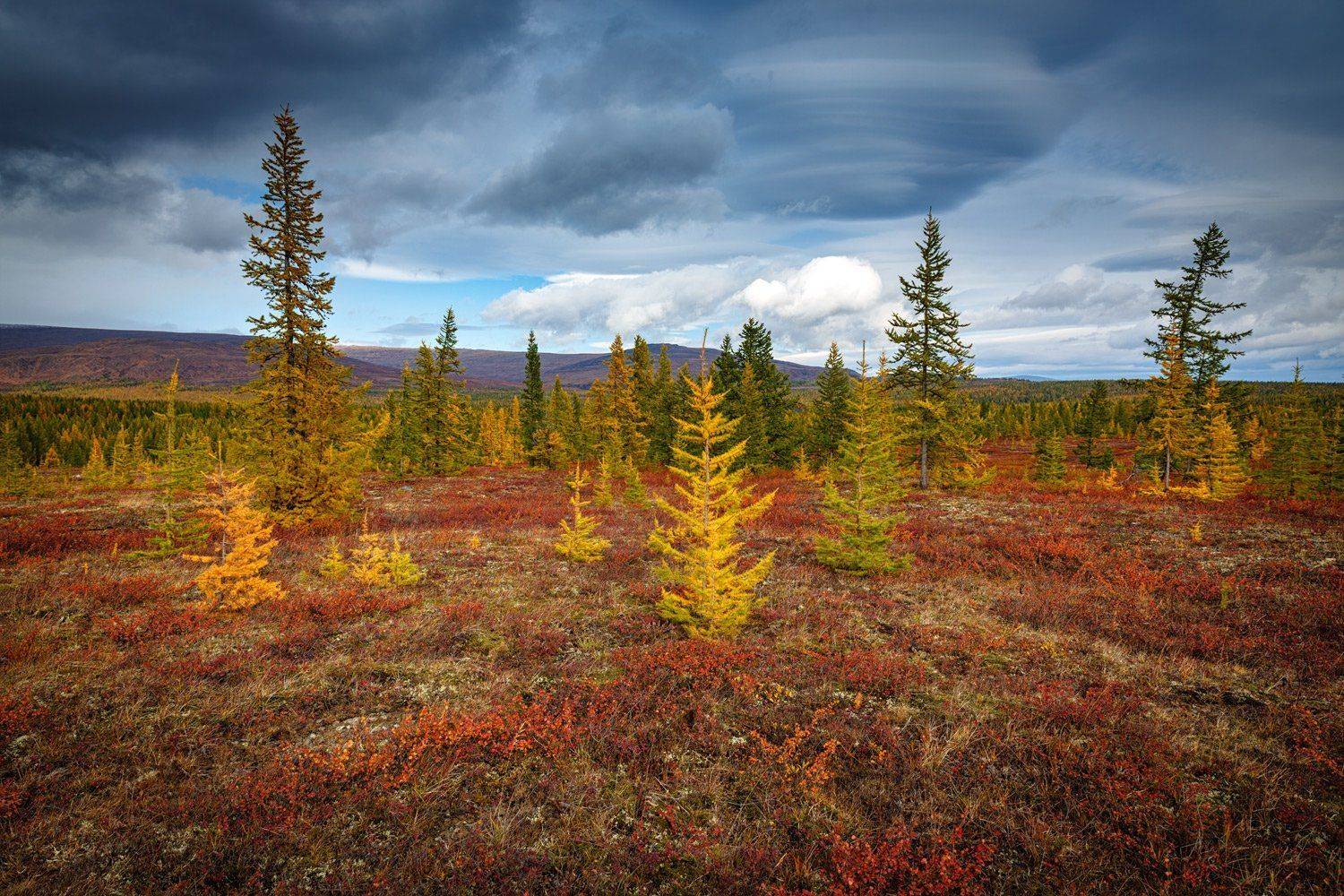 , Евгений Кужилев
