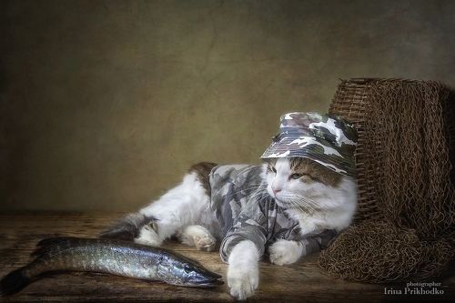 Рыбак на привале