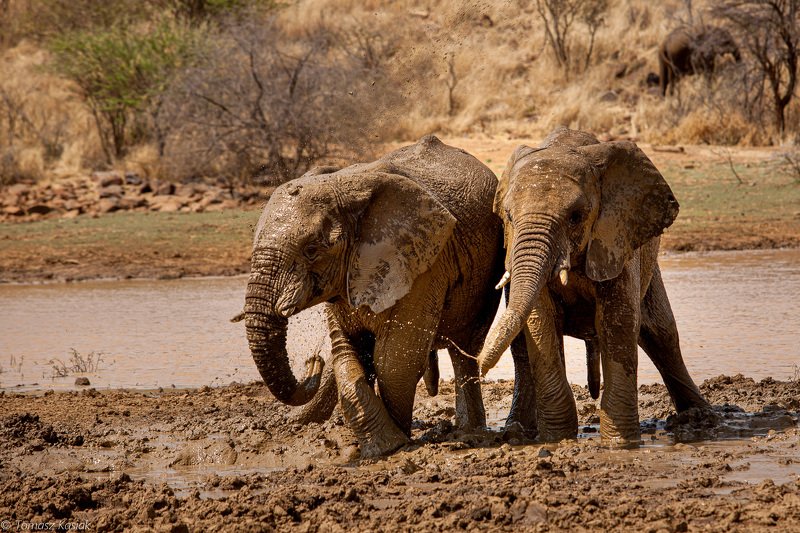 Boys фото превью