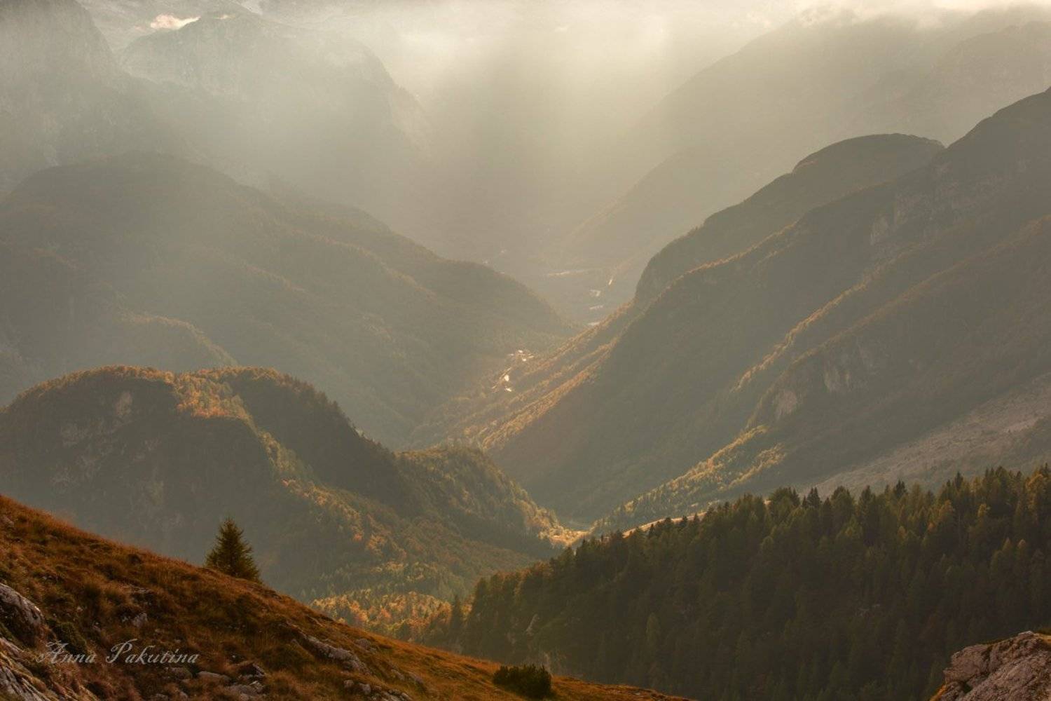 , Анна Пакутина