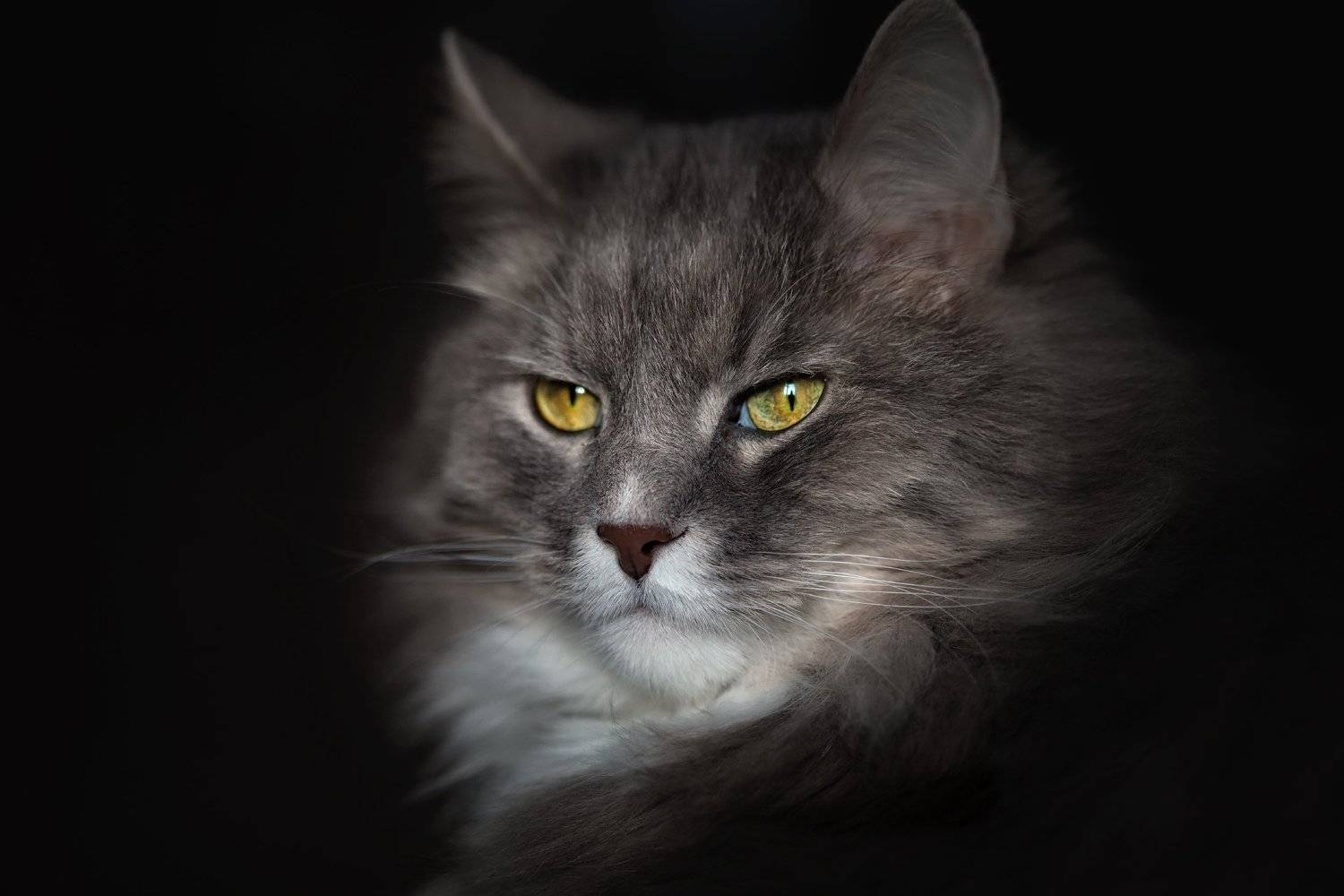 , Екатерина Бакулина