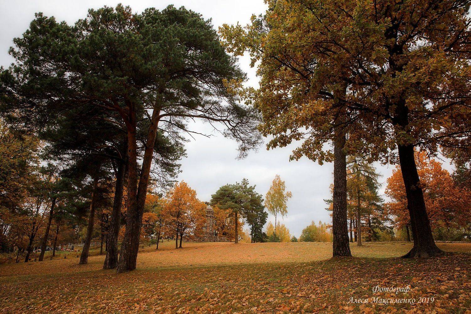 пейзаж , Беларусь , , Алеся Максименко