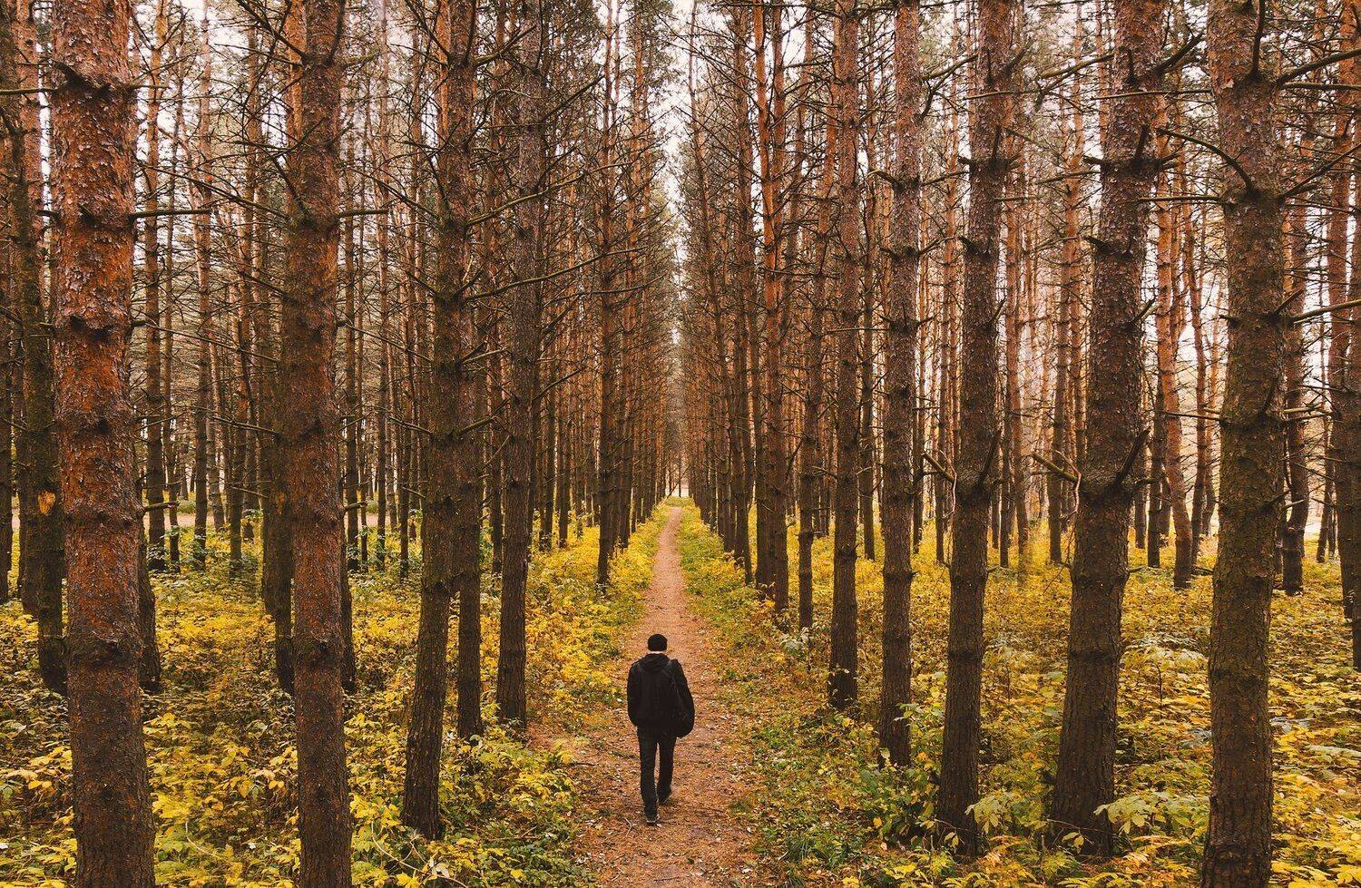 Город,абстрактно,креативно,улица,ночная улица,ночь,ночное креативное,креатив,заброшка,zapworld,завод,шар,индастриал,фото,Беларусь,новополоцк,Пейзаж, природный, небо, лес, краски, берег, вода, водоем, пруд, озеро, гладь, камыш, тростник, трава, отражение, , Sergey Shevtsov