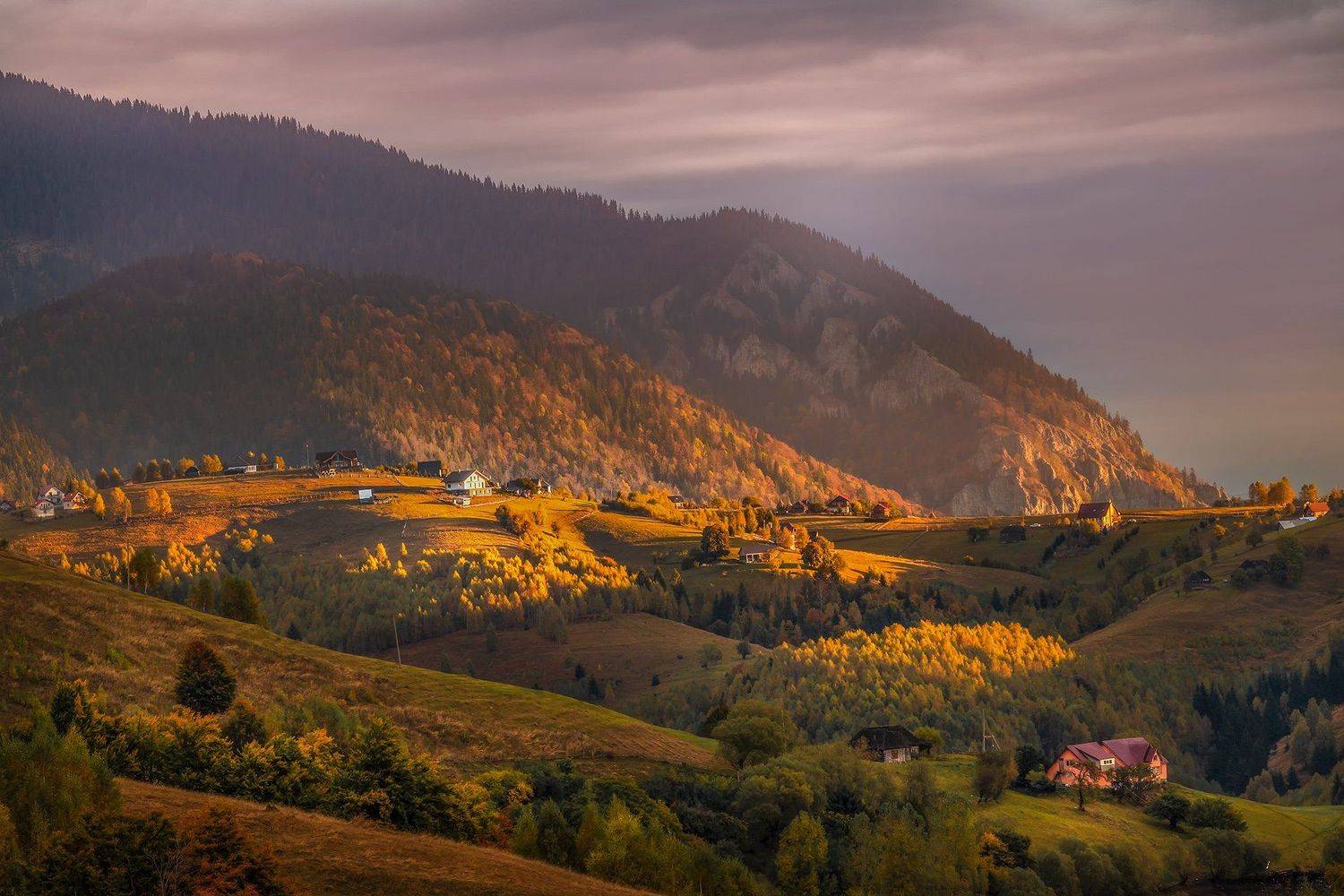 , Елена Маковоз