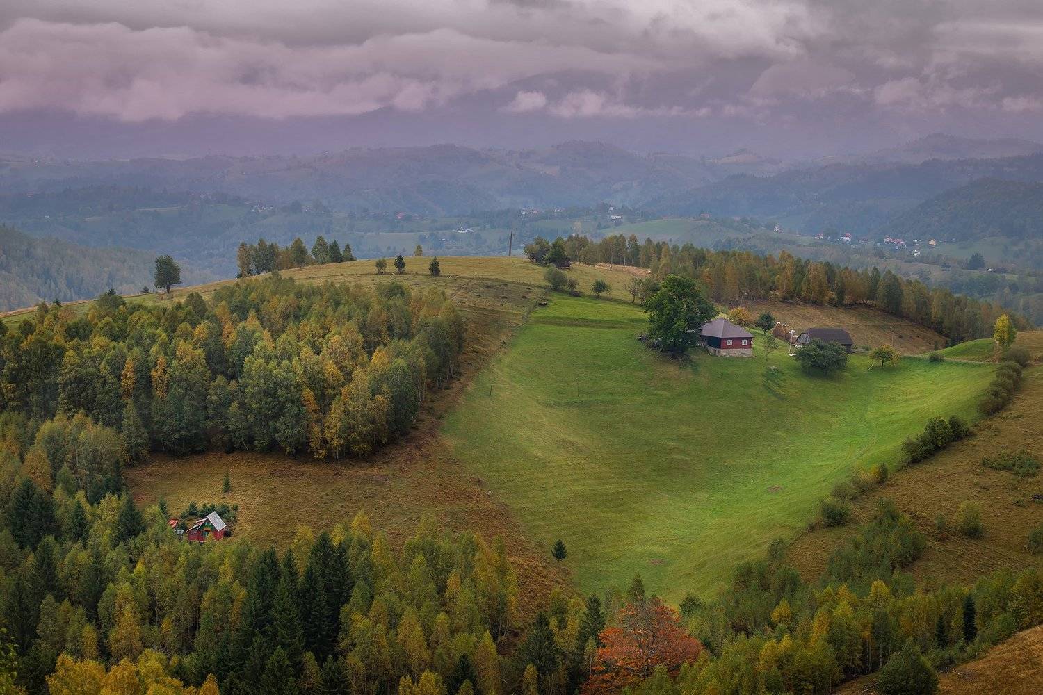 , Елена Маковоз