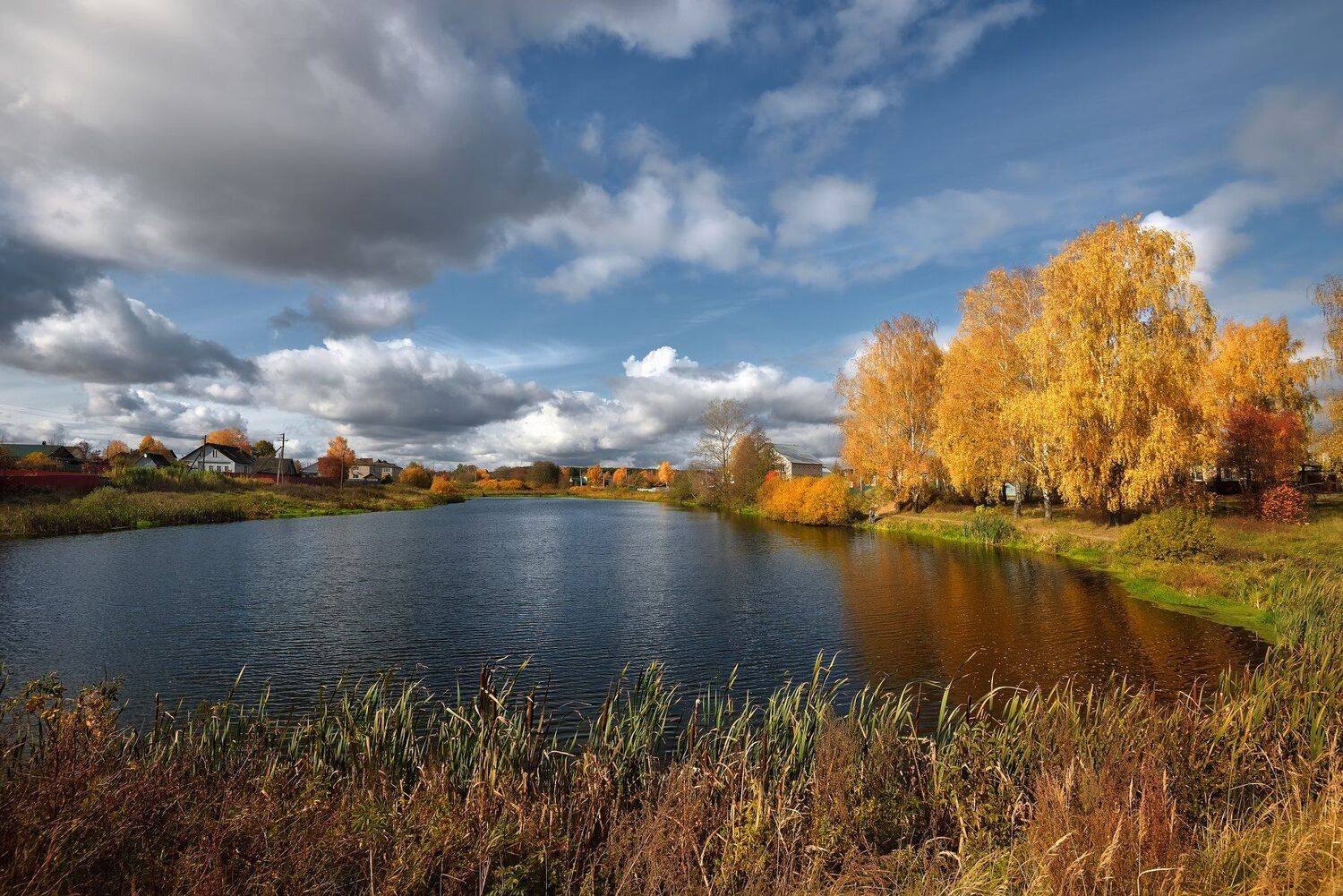 осень,деревня,пруд,рыбак,небо,облака,жёлтые,деревья, Виталий Полуэктов