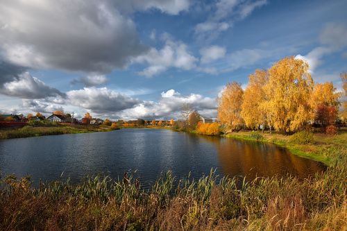 осенний день