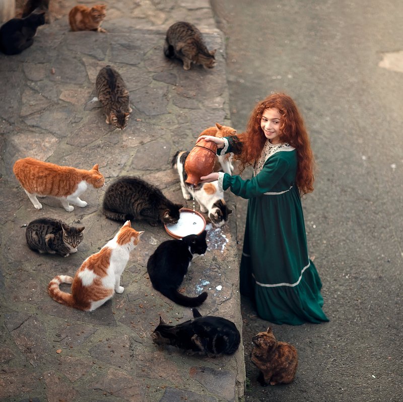 фото превью