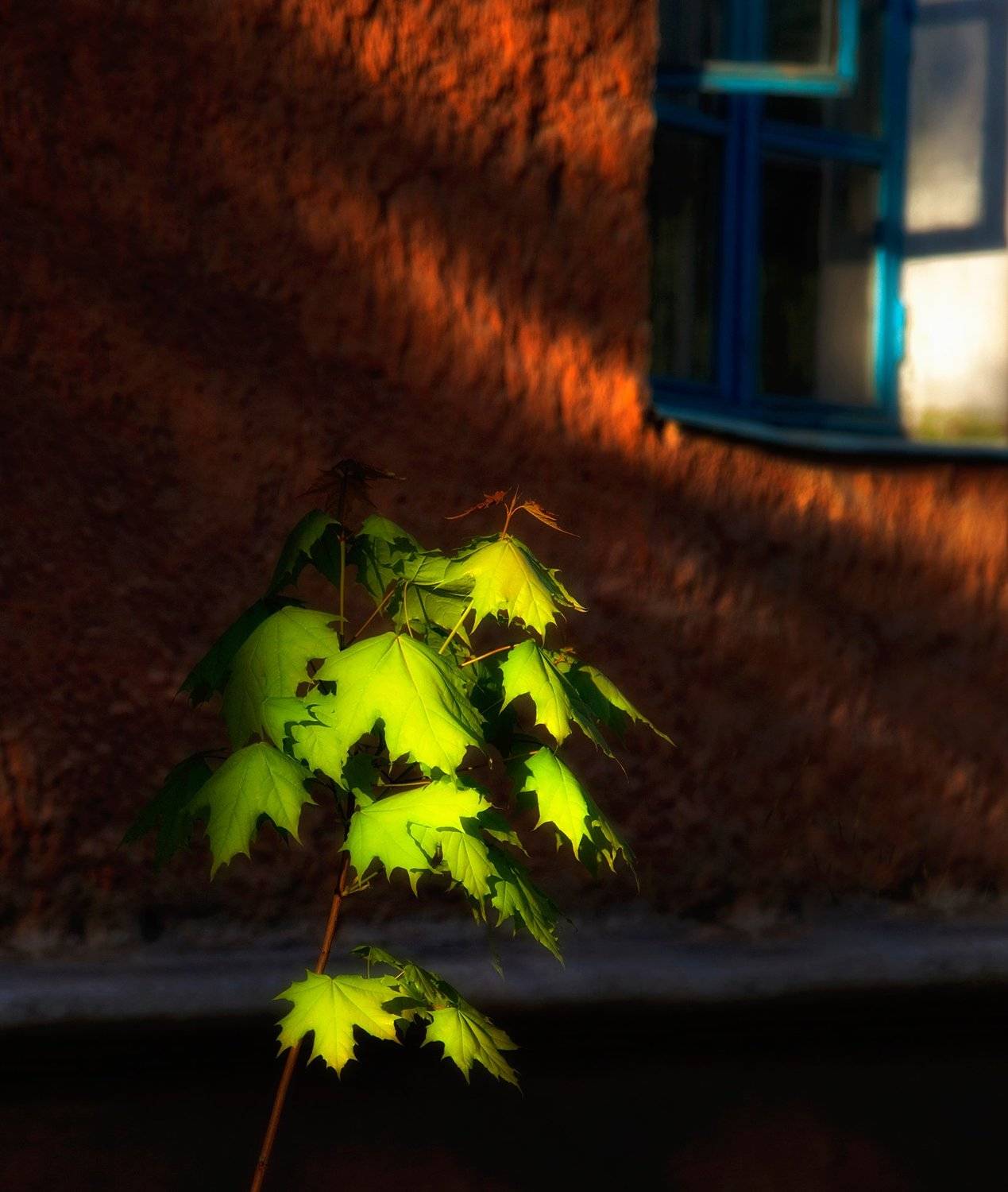 город,двор,дома,старый,уютный,окно, Тамара Андреева