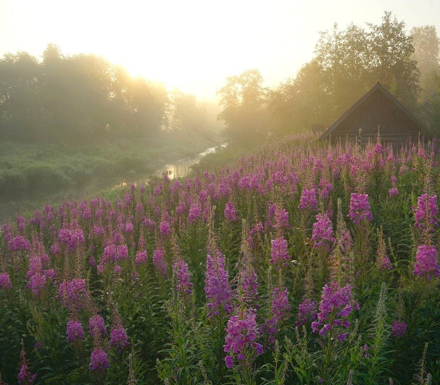 , Петр Косых