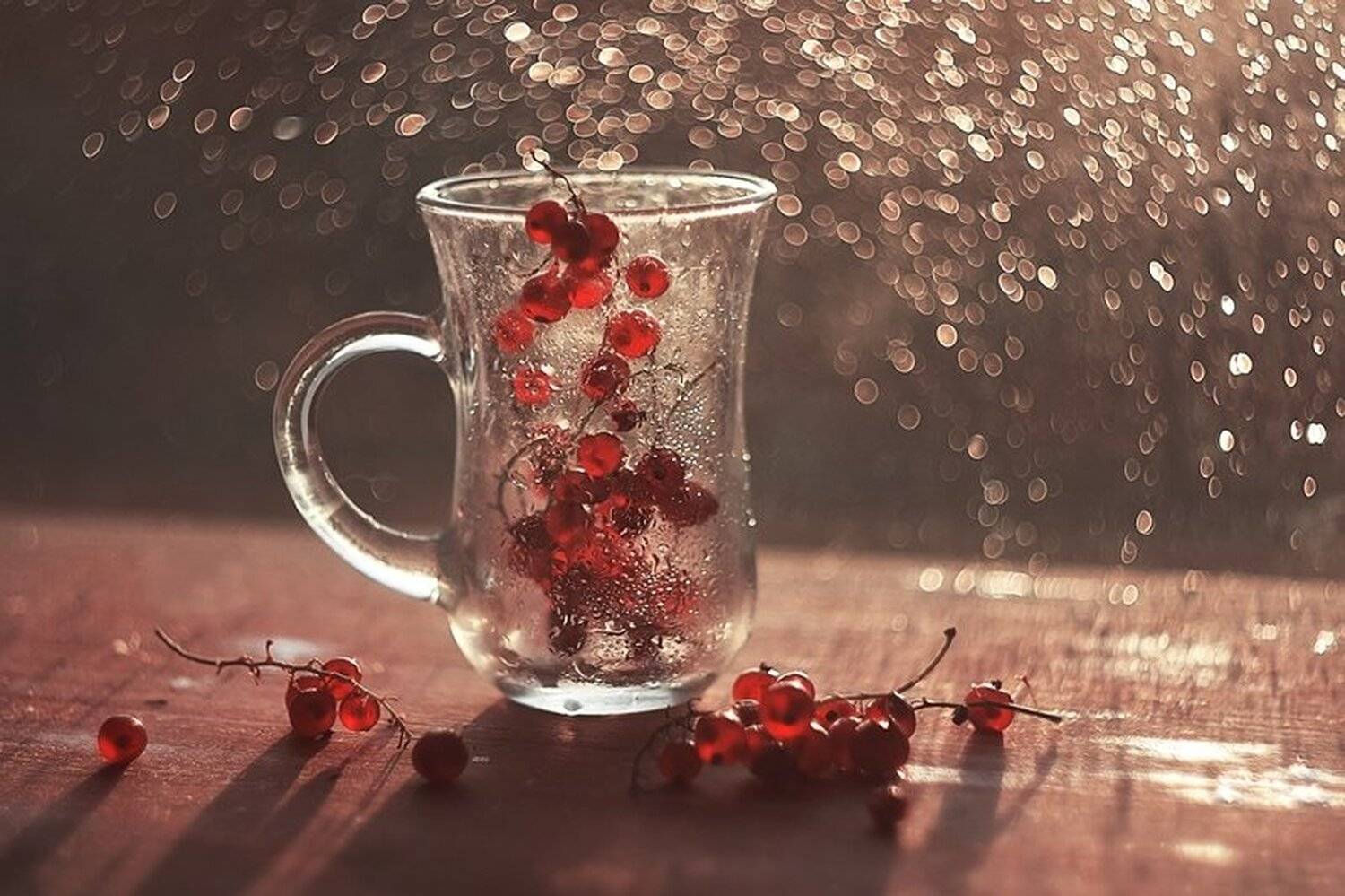 , Лапшина Владлена