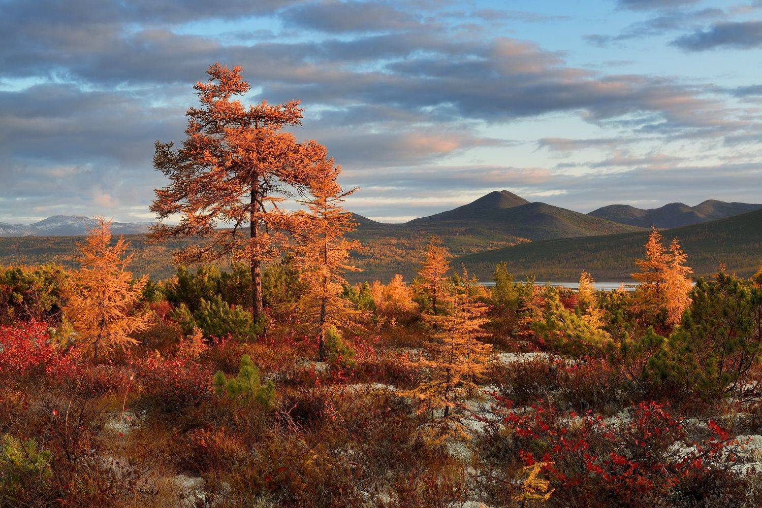 , Максим Евдокимов (phototourtravel.ru)