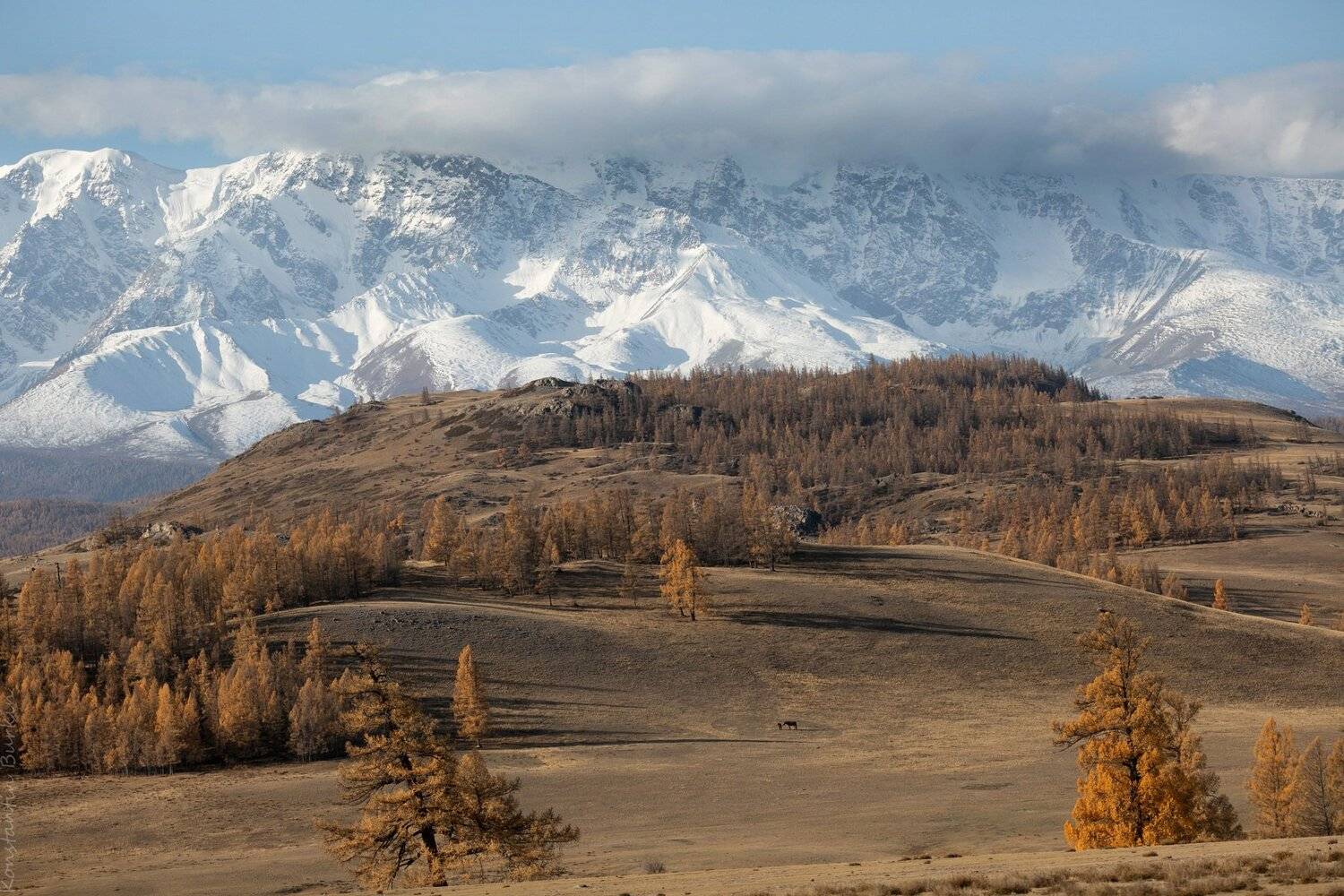 , Константин Буркин