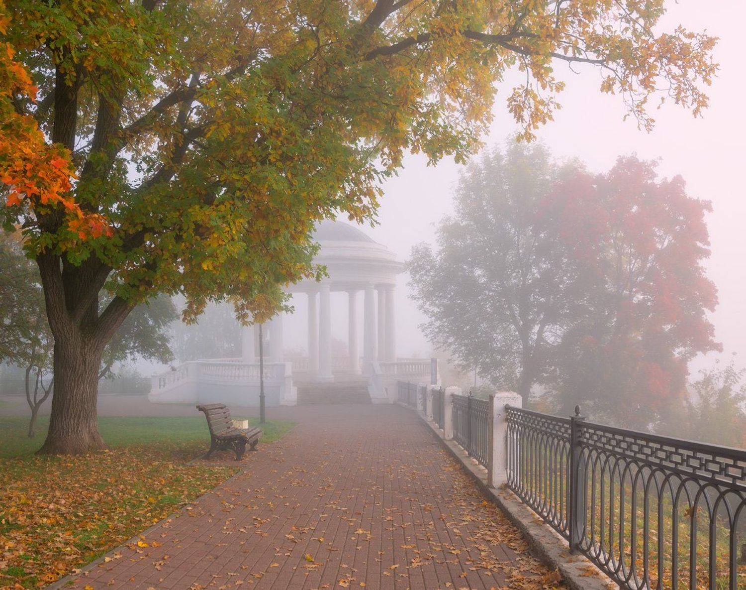 утро туман осень сентябрь, Александр Архипкин