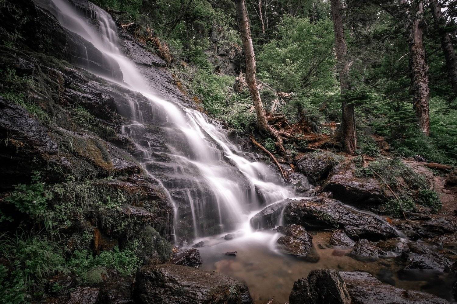 , Денис Винарь