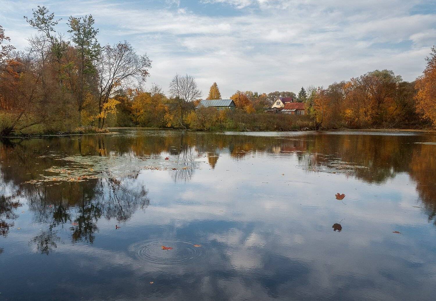 , Баранов Олег