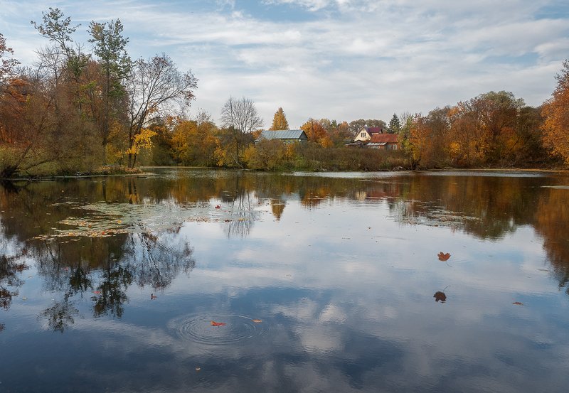 *** фото превью