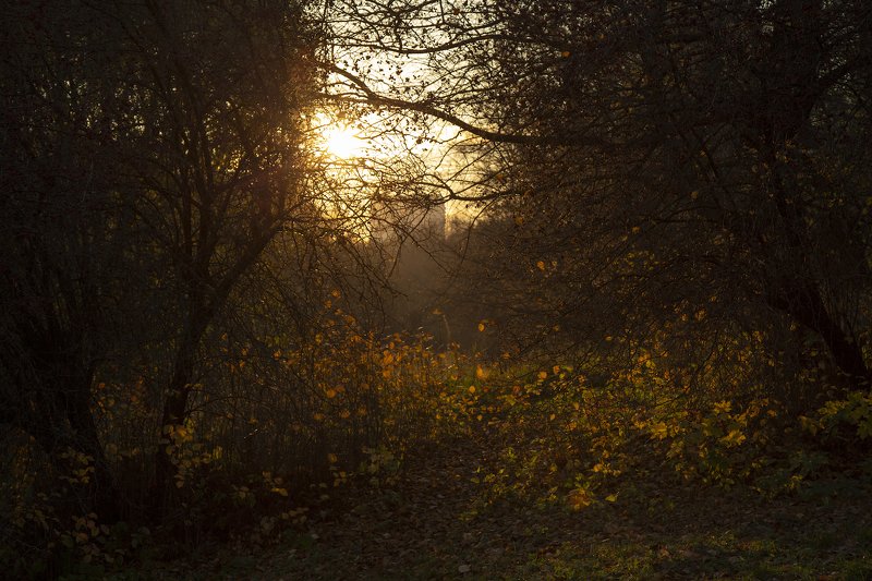 *** фото превью