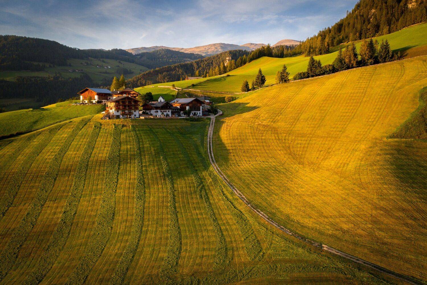 , Алекс Римский