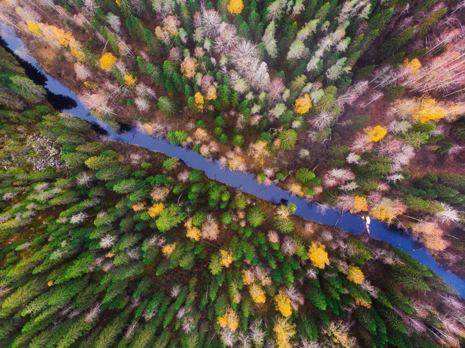 , Юрий Столыпин