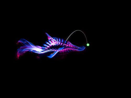 We continue to plunge into the oceans. Now the predators. Продолжаем погружаться в мировой океан. Теперь хищники.